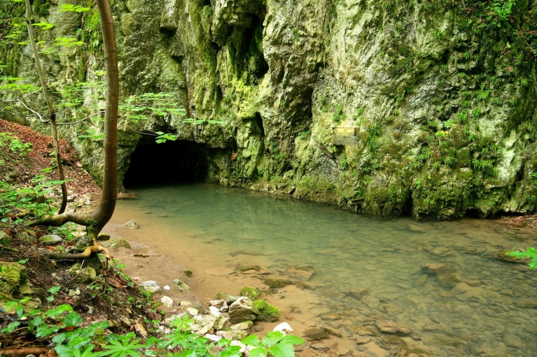 Cave in Movarian Karst